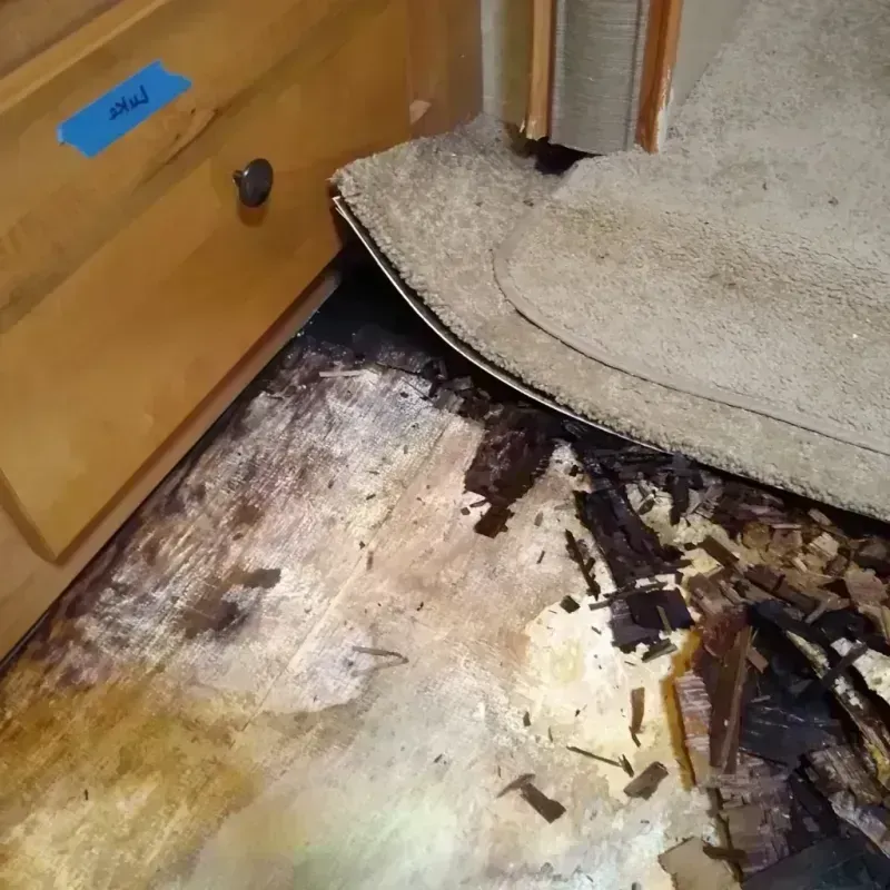 Wood Floor Water Damage in Zephyrhills West, FL